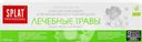 Зубная паста SPLAT Medical Herbs Professional, 100мл