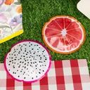 Аккумулятор холода, BBQ, 15 см, в ассортименте