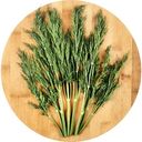 Укроп ЛоКарно в пакете, 50г