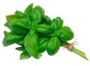 Зелень свежая базилик зеленый Кубанские поля лоток, 1 шт