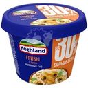 Сыр плавленый Hochland Грибы с луком 40% БЗМЖ 230г