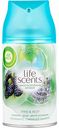 Сменный баллон Air Wick Life Scents Утро в лесу, 250 мл