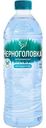 Вода Черноголовка артезианская питьевая негазированная, 500мл