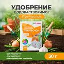 Удобрение водорастворимое "Лук-Чеснок", Биона, 30 г