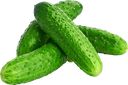 ОГУРЦЫ короткоплодные, тепличные, 450г