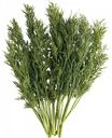 Укроп ЛоКарно, 100 г