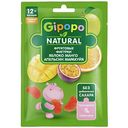 Фруктовые фигурки детские Gipopo яблоко-манго-маракуйя-апельсин с 12 месяцев, 15г