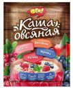 Каша овсяная «ОГО!» малина черника клюква и шиповник, 50 г