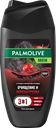 Гель-шампунь для душа мужской PALMOLIVE Men Очищение и перезагрузка 4в1, 250мл