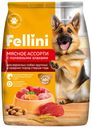 Fellini Корм сухой полнорационный для собак крупных и средни