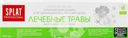 Зубная паста SPLAT Medical Herbs Professional, 100мл