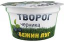 Творог Бежин луг Черника 4,2%, 160 г
