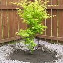 Опора садовая, GreenArt, 40х66 см