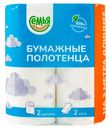 Полотенца бумажные Семья довольна двухслойные 14м 2 рулона