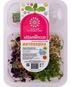 Салатный ростковый микс Organicus Фитоняшка, 100 г