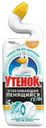 Чистящее средство Туалетный Утенок Цитрус отбеливающий пенящийся для унитаза 750 мл