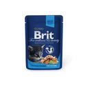 Корм Brit Premium для кошек, с курочкой, 100 г