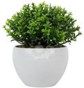 Искусственные цветы Seasons в горшке DC25070202 в ассортименте