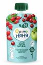 Пюре фруктовое детское ФрутоНяня Витаминный салатик с 5 месяцев, 90г