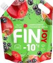 Стеклоочиститель FIN JOY Fruity, до -10 градусов, 3л