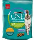 Корм Purina ONE для взрослых кошек с курицей 680г
