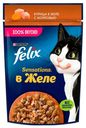 Влажный корм Felix Sensations курица в желе с морковью для взрослых кошек 75 г