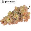 Виноград Кишмиш розовый, 1кг