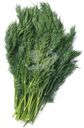 Укроп зеленый Маркет Fresh, 100г