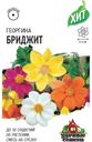 Семена Удачные семена Георгина Бриджит, 0.3г