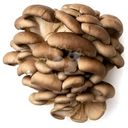 Вешенки культивируемые Маркет Fresh, 300г