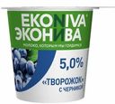 Творожок Эконива Черника 5% 125г