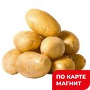 КАРТОФЕЛЬ, 1кг