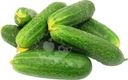 Огурцы короткоплодные