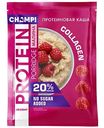 Каша овсяная протеиновая Champ! малина с льном, 40г