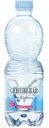 Вода природная питьевая Сенежская газированная, 0,5 л