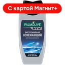 Гель для душа ПАЛМОЛИВ МЕН, Арктический ветер, мужской, 3 в 1, 250мл