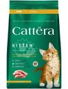 Корм сухой Cattera с курицей полнорационный для котят с 1 месяца беременных и кормящих кошек 300г