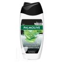 Гель PALMOLIVE Men Очищение и Уход 4в1 для душа 250мл