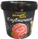 БОЛЬШОЙ ПАПА Морож слив с клуб и шок/кр 0,48кг пл/вед:6