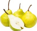 Груши Пакхам