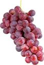 Виноград Красный