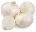 Лук репчатый белый