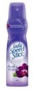Дезодорант-антиперспирант спрей Lady Speed Stick Fresh&Essence «Черная орхидея», 150 мл