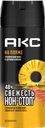 Дезодорант-спрей мужской AKC На пляже