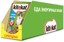 Корм Kitekat для кошек, рыба в соусе, 85 г
