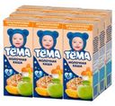 Каша молочная мультизерновая с пребиотиками яблоко-банан «Тема», с 6 мес, 206 г (9 шт)