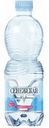 Вода природная питьевая Сенежская газированная, 0,5 л