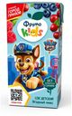 Сок детский ФрутоKids «Ягодный микс», 200 мл