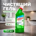 Гель чистящий универсальный, Homestar, 10 в 1, 750 г, в ассортименте