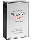 Туалетная вода для мужчин Vikon de Paris Energy Sport, 100мл